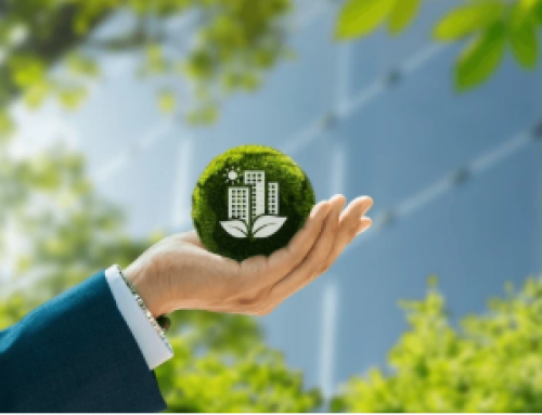 Why Eco-Friendly Practices Matter for Small Businesses